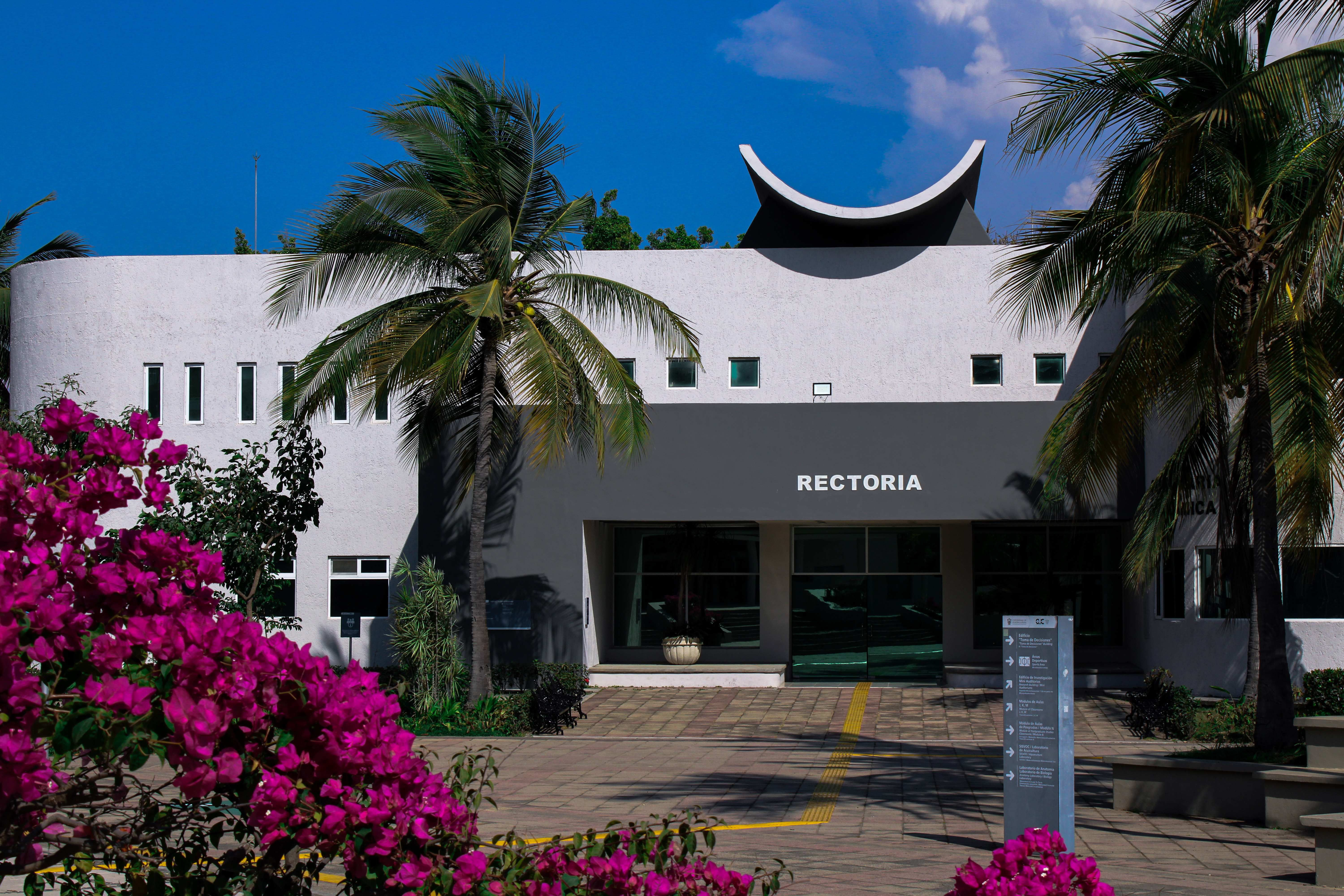 rectoria cucosta
